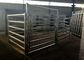 Heavy Duty Steel Fence Panels , Galvanized Horse Corral Panels For Livestock Farms