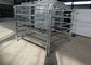 Galvanized Powder Steel Cattle Fence Normal Size Farm Fencing Panels